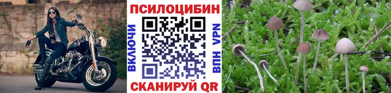 мега зеркало  Рыбное  Псилоцибиновые грибы GOLDEN TEACHER  наркота 